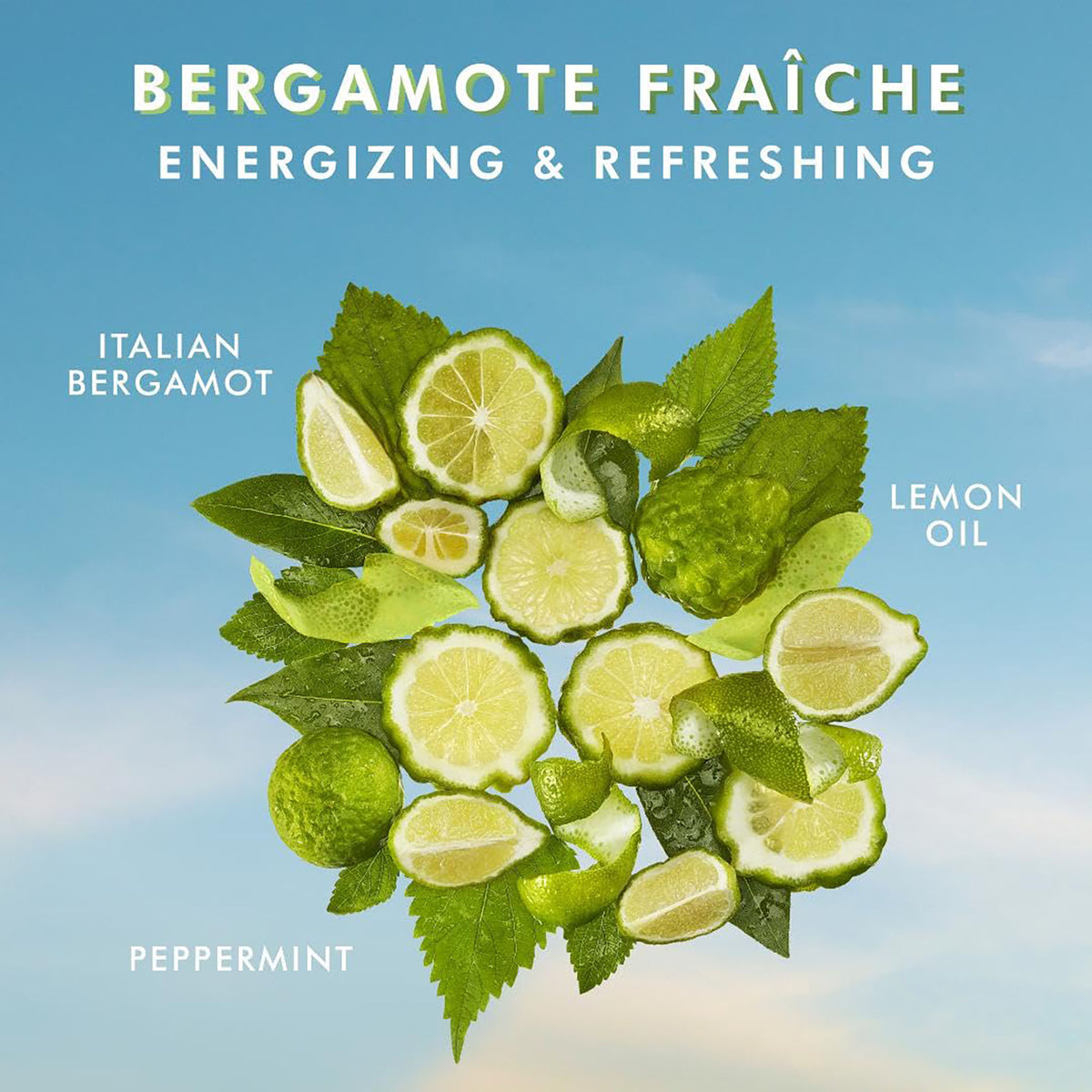 Moroccanoil Body Bergamote Fraiche Hand Wash 12.2 oz BFHW12