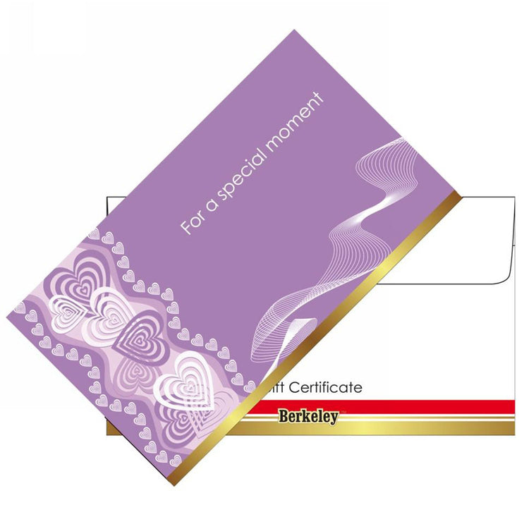 Matching Envelope For Gift Certificate 50ct EN107