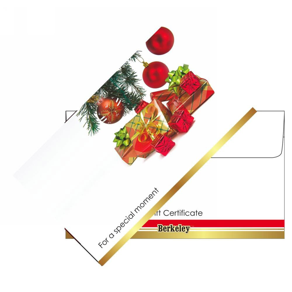 Matching Envelope For Gift Certificate 50ct EN110