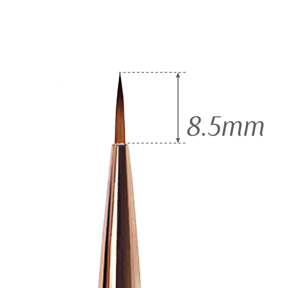Cọ Ma thuật #6 Xoáy & Sắc thái Cao cấp 47342