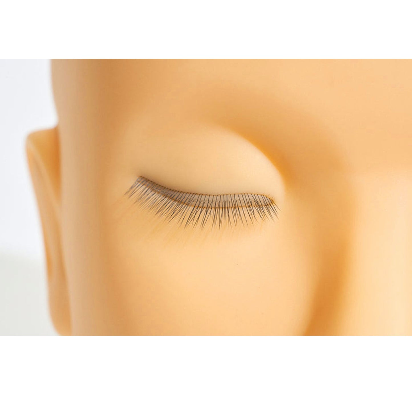 JB Mannequin Head for Eyelash Training JBT2100 02100