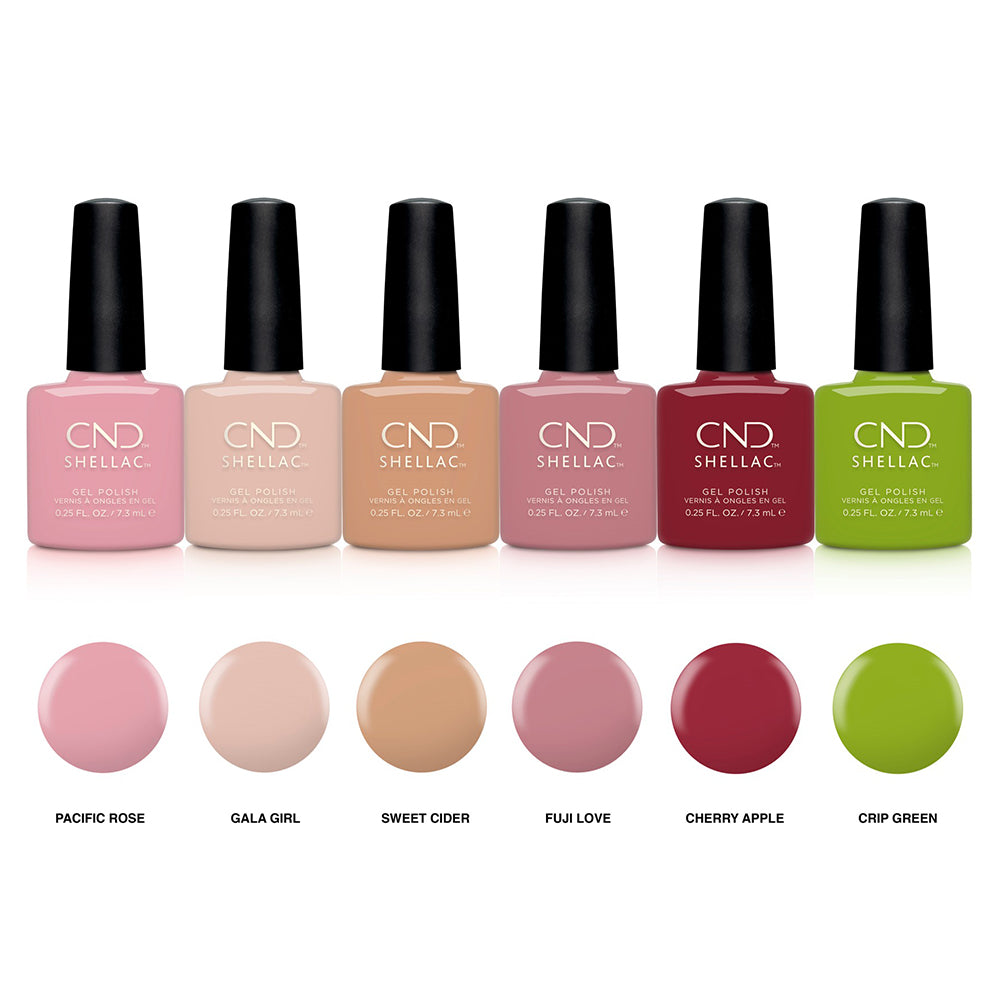 Bộ Trưng Bày 16 Chai CND Shellac Autumn Addict 00823
