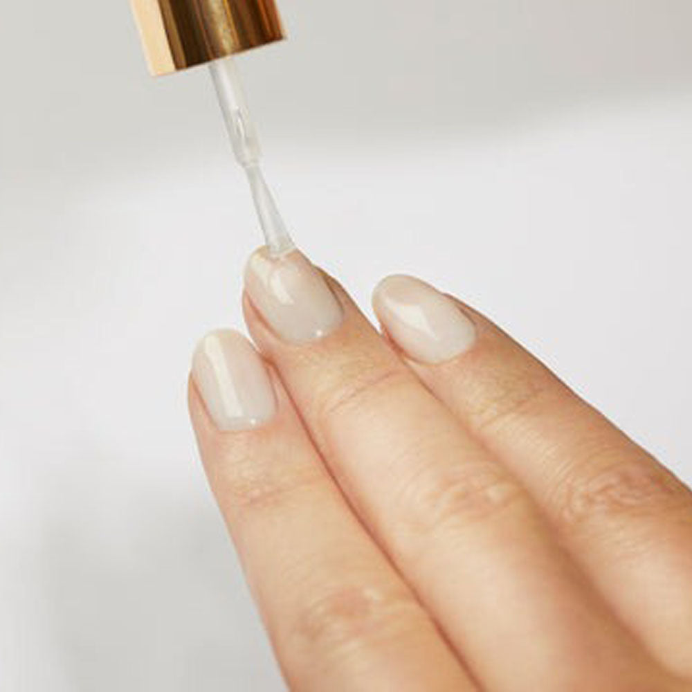 Blossom Stuck On You Base Coat 12Pcs Dis BL-BC12