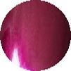 China Glaze Secrets 0.5 oz. #101 (70319)
