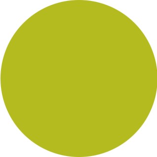 Nobility Nail Lacquer 0.5 fl oz - Sweet Kiwi #NBNL83