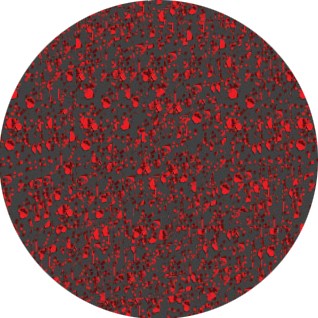 Nobility Nail Lacquer 0.5 fl oz/15ml - Rubies Galore NBNL114