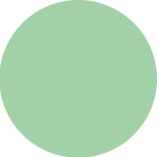 Nobility Nail Lacquer 0.5 fl oz - Pistachio #NBNL124