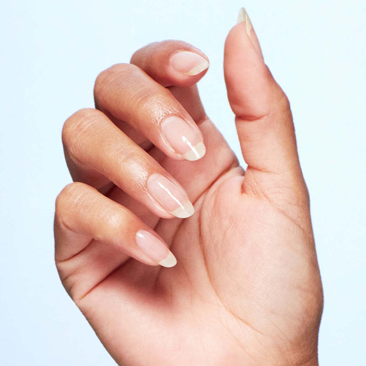 Smootlyss All-in-One Top Coat 16floz. ( 473.1 ml ) LC-10852