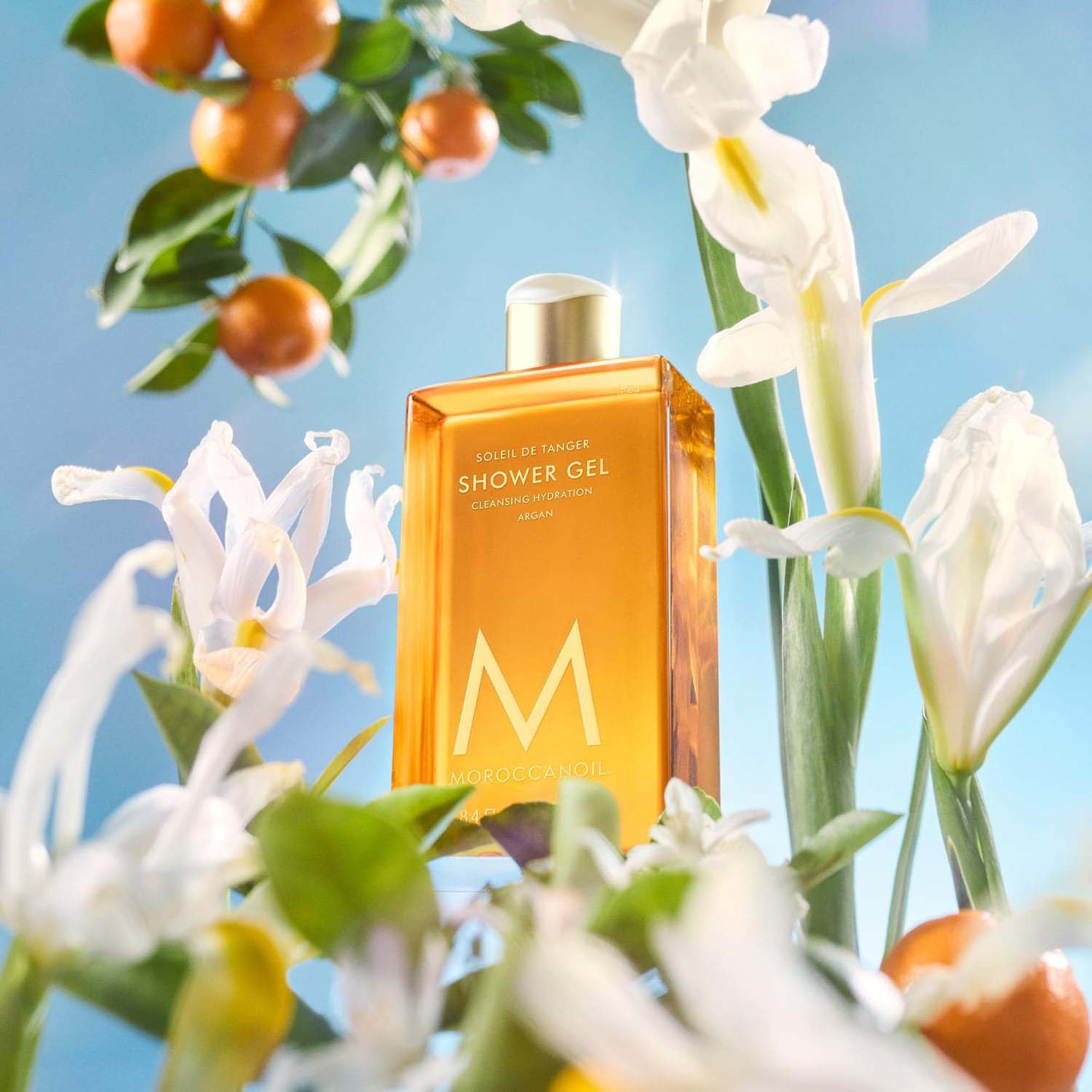 Moroccanoil Body Soleil De Tanger Shower Gel 8.5oz STSG08