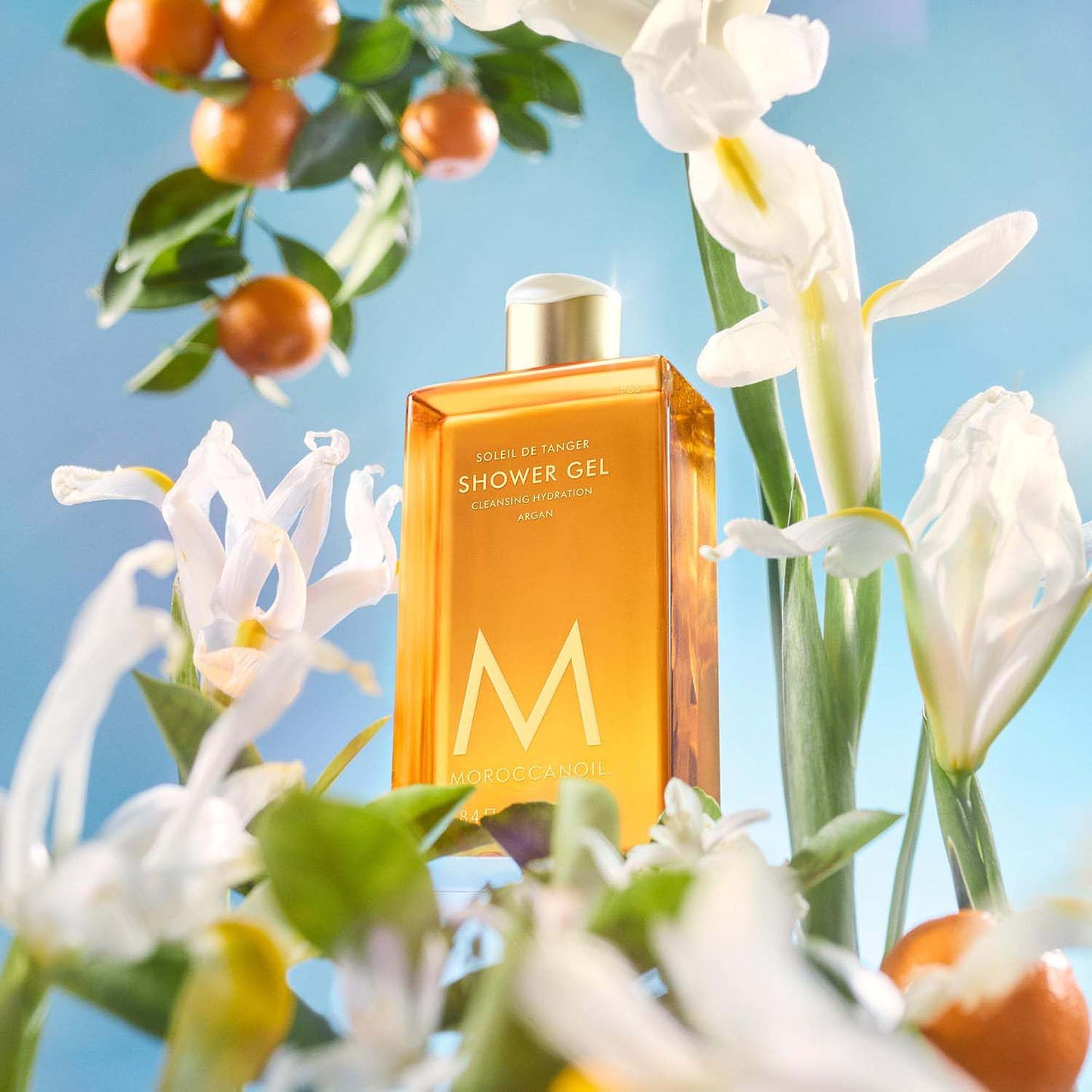 Moroccanoil Body Soleil De Tanger Shower Gel 8.5oz STSG08
