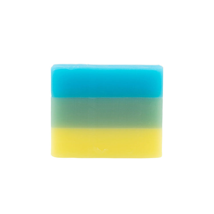 Blossom Hydrating Body Soap 100ml - Peach BL-MSB-PEA