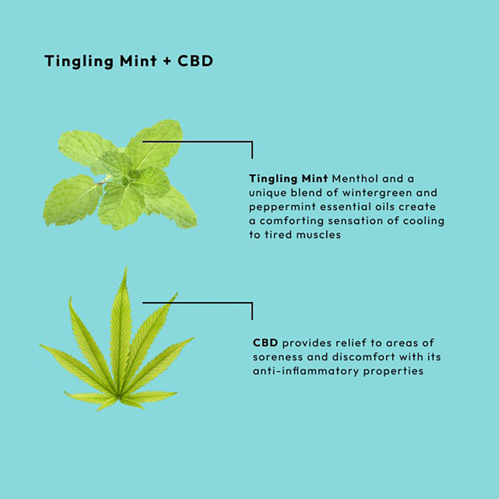 BCL SPA Massage Cream 64 oz - Tingling Mint + CBD 56106