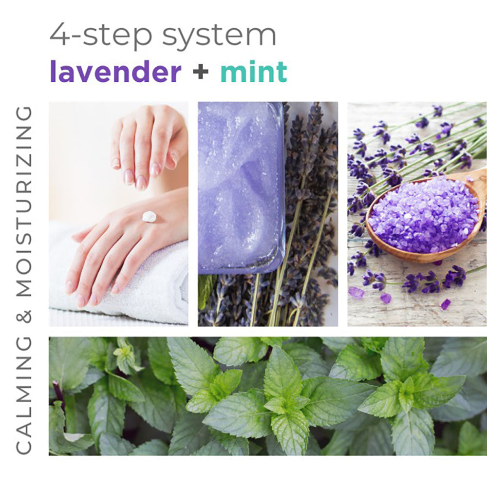 BCL SPA Masque hydratant 1,8 kg - Lavande + Menthe 50015