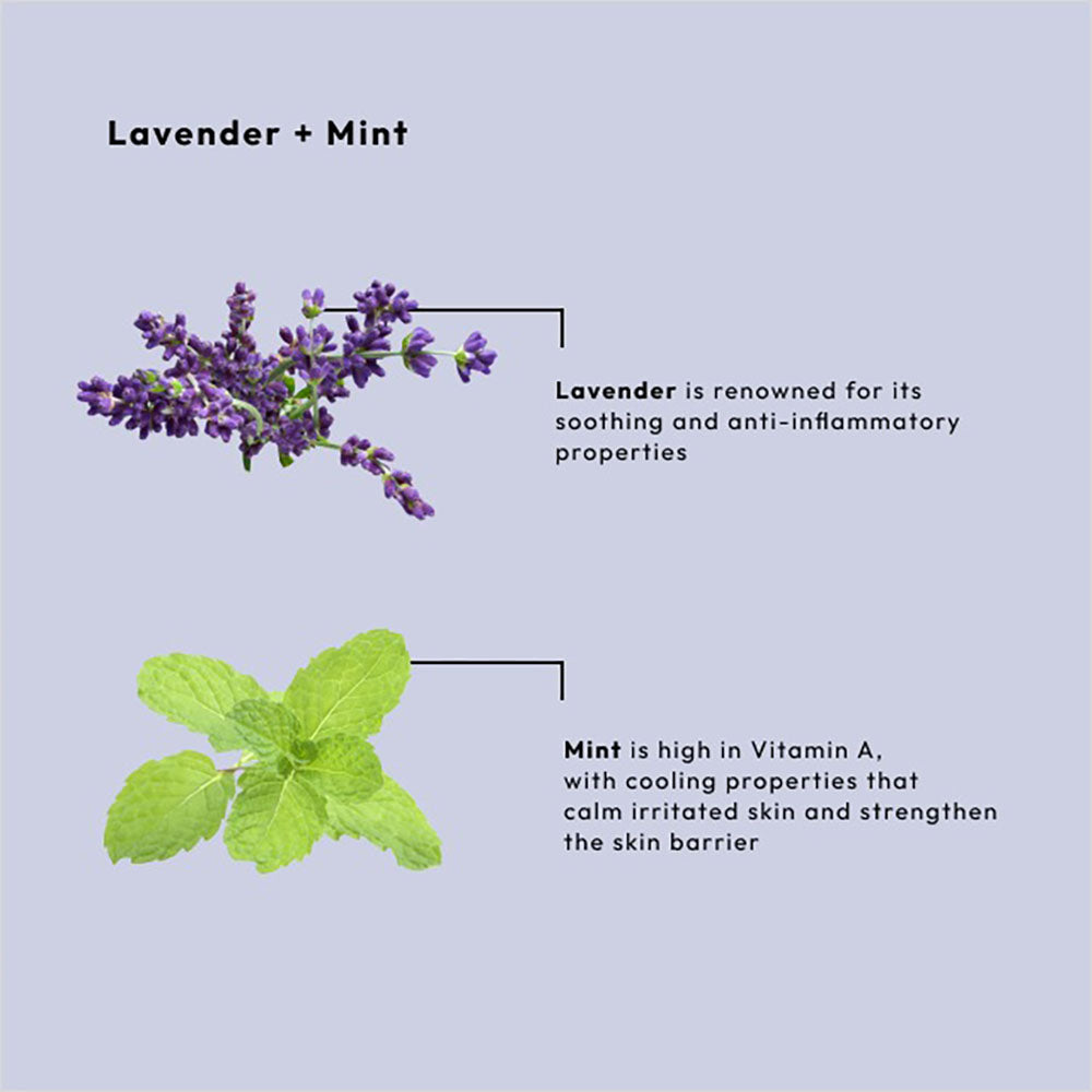 BCL SPA Massage Cream 16 oz - Lavender+Mint 53106