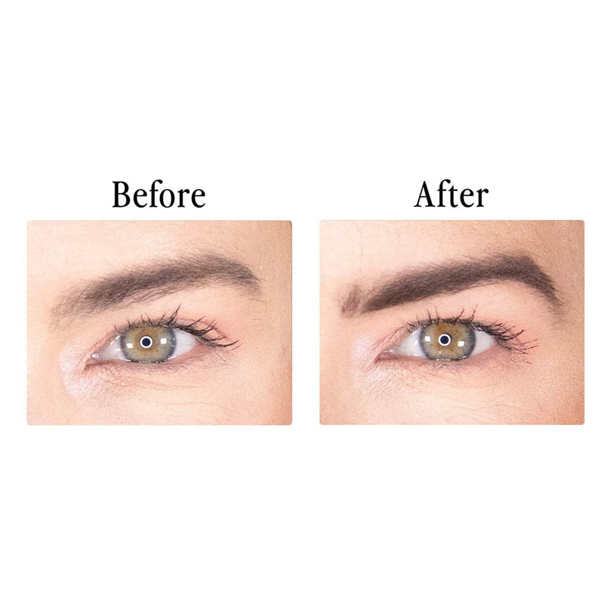 BDB Brow Powder - Taupe 2g - 0.07 fl oz. B3041 55304